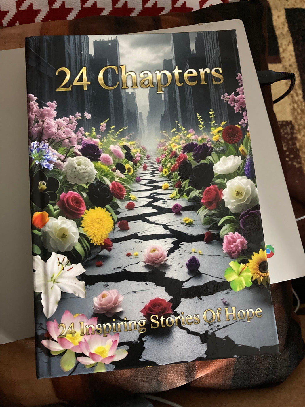 24 Chapters book